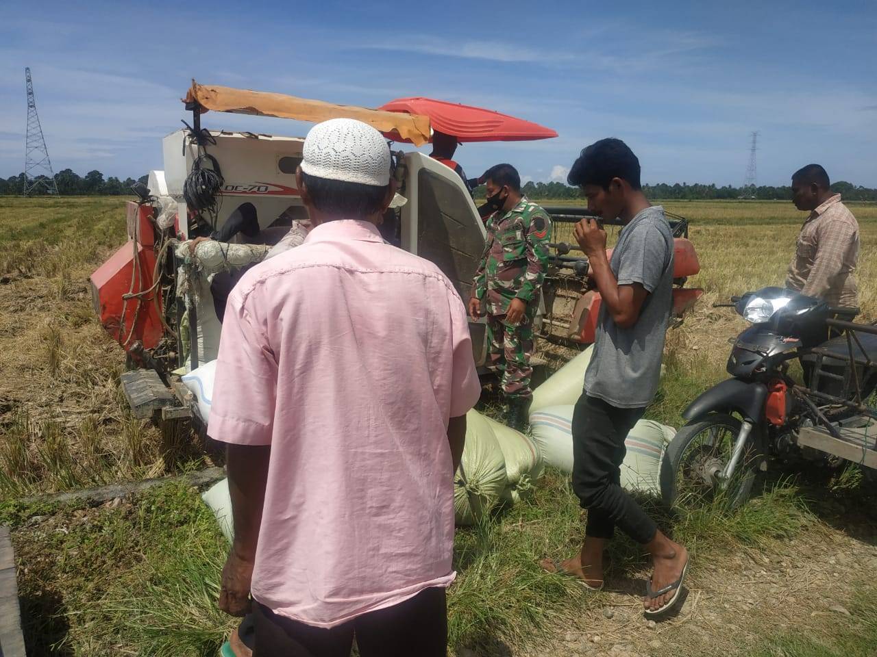 Pendampingan Terus Dilakukan Oleh Babinsa Untuk Mempercepat Masa Panen Musim ini