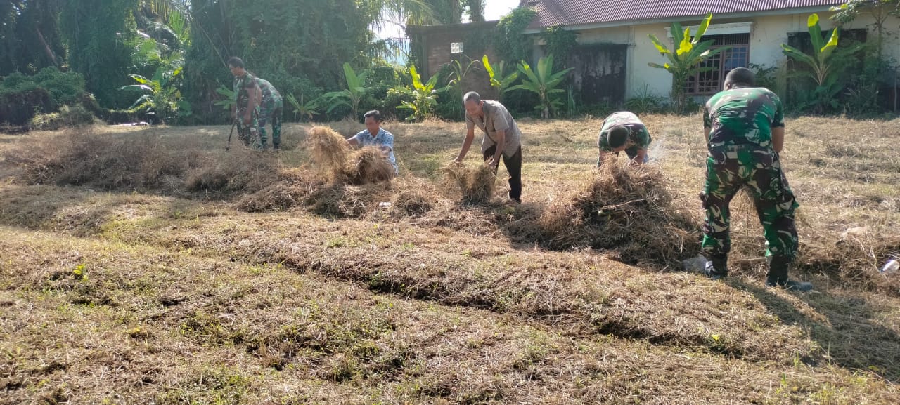 Bantu Petani, Babinsa Siapkan Lahan Jagung