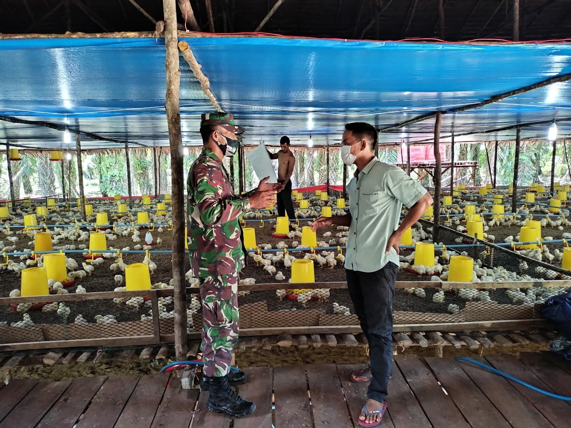 Babinsa Posramil Tadu Raya Sampaikan ini ke Pemilik Ayam Potong