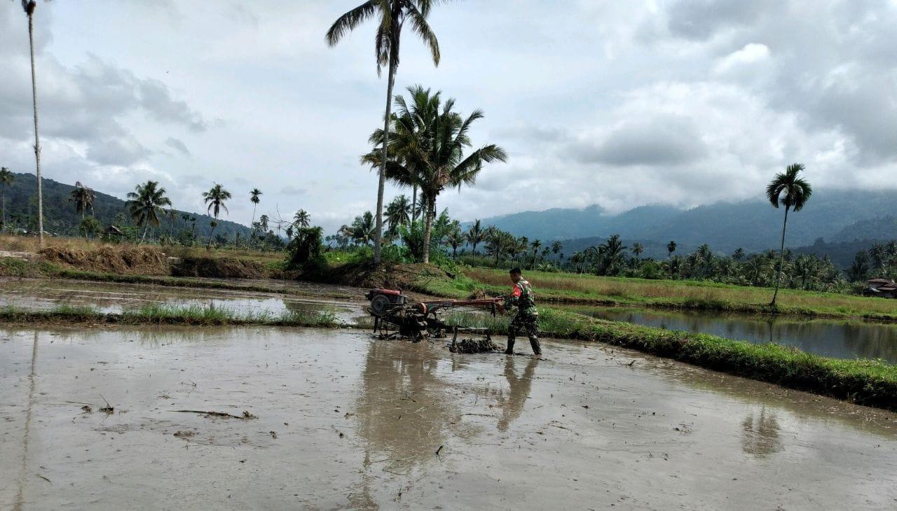 Babinsa Bantu Petani Lakukan Pengolahan Sawah