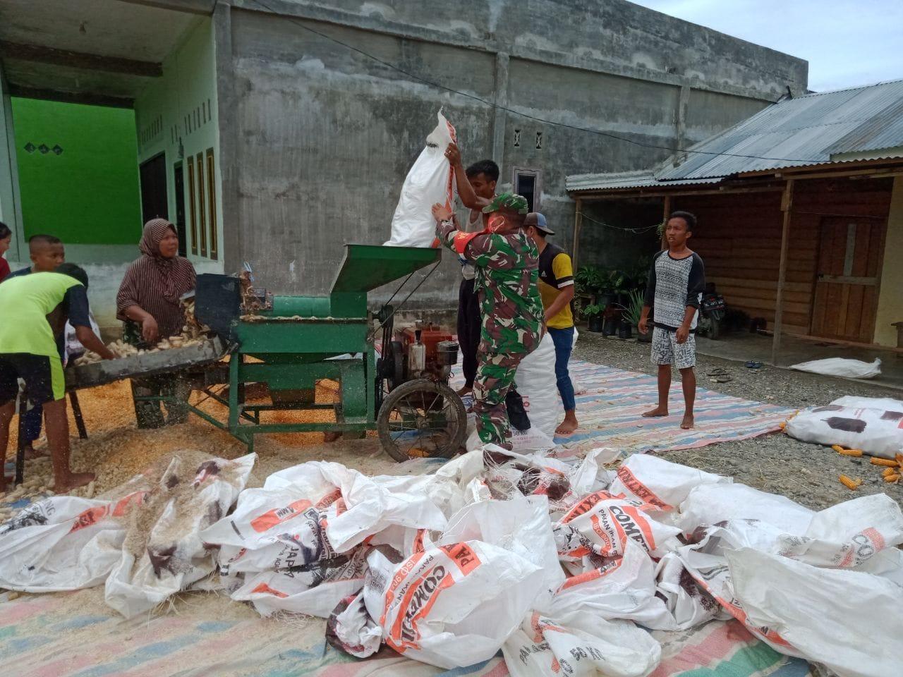 Ditengah Pandemi Covid-19, Babinsa Bantu Meringankan Pekerjaan Petani Giling Jagung