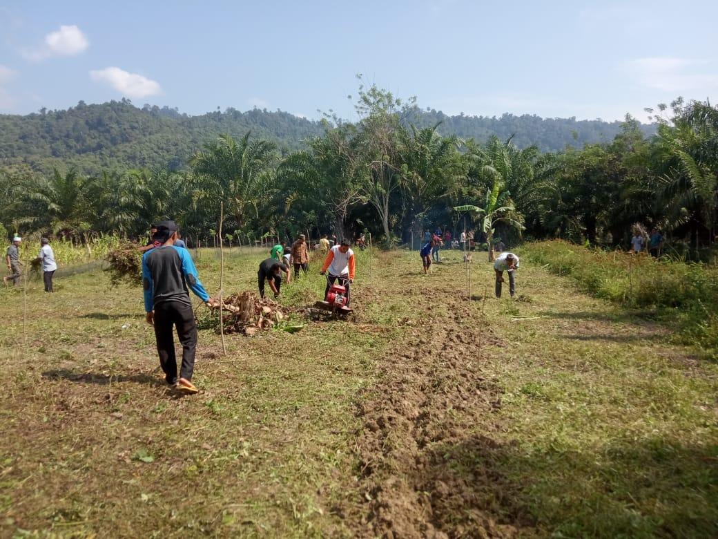 Sinergitas TNI/Polri dan Masyarakat Pintu Rimba Trumon Timur Siapkan Kampung Tangguh