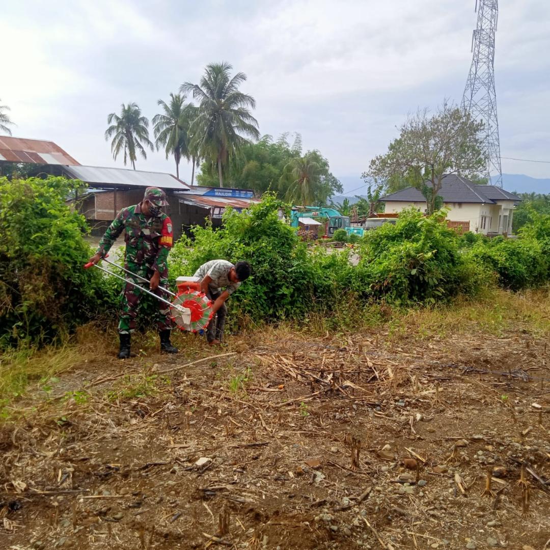Babinsa Serda Ikhwanuddin Bantu Tanam Jagung Warga Petani Desa Binaan