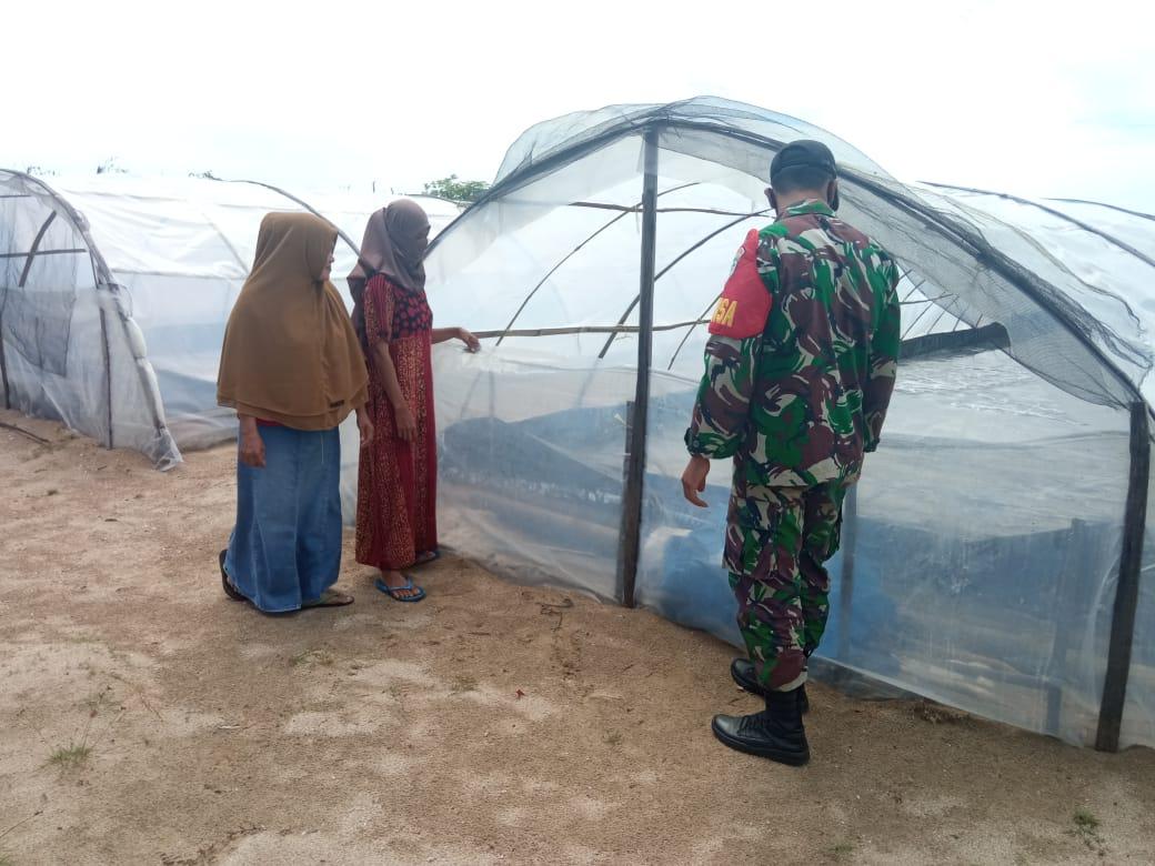 Babinsa Serda Taufik Muzakar Komsos Bersama Pemilik Usaha Garam Biomembran