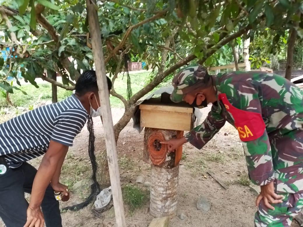 Sertu Parwoto Sambangi Tempat Budidaya Madu Linot kelulut