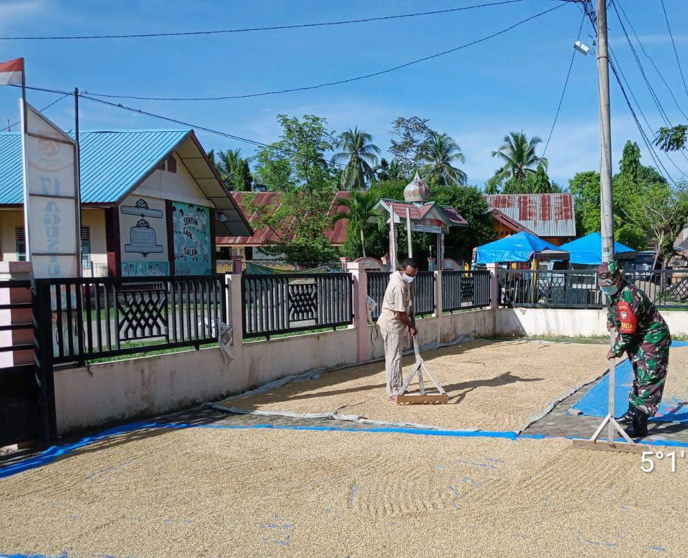 Ditengah Teriknya Matahari Tak Membuat Kopda Edi Hilang Semangat Untuk Bantu Petani Menjemur Padi