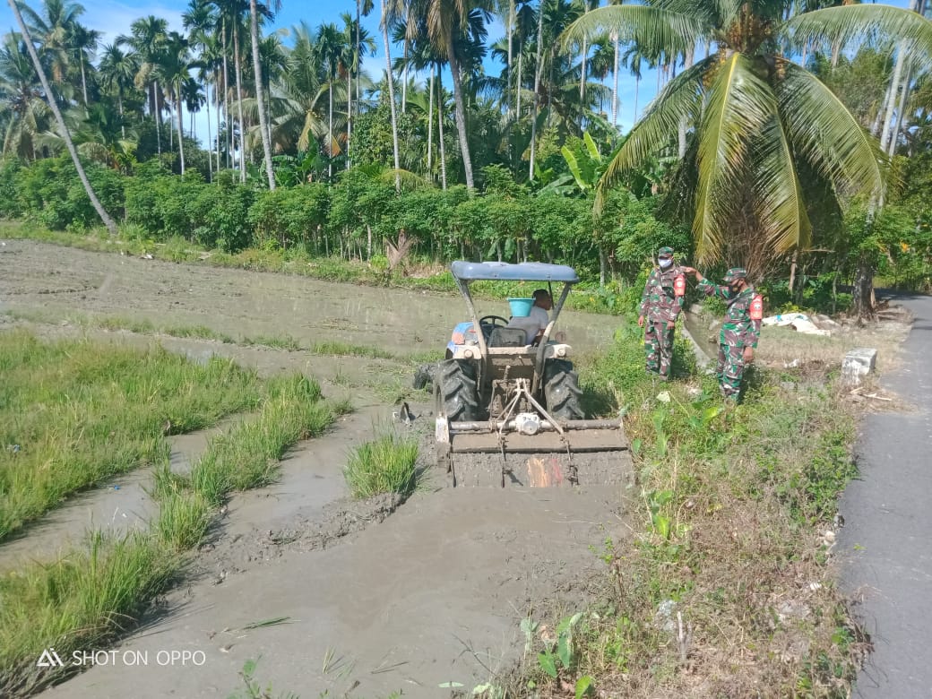 Percepat Masa Tanam Padi, Babinsa Dampingi Bajak Sawah