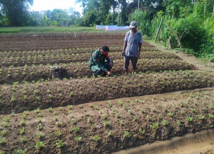 Berikan Motifasi Dan Masukan Terhadap Petani Terkait Cara Perawatan Tanaman