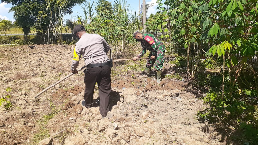 Sinergi Babinsa dan Bhabinkamtibmas Bersama Masyarakat Siapkan Lahan Pertanian