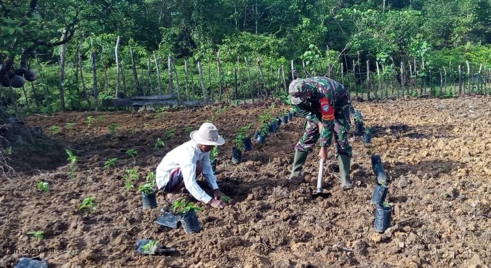Sertu Sunanto, Pacu Swasembada Pangan