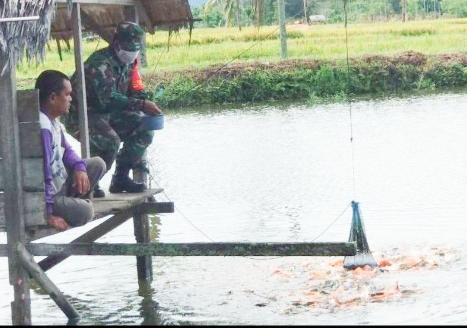 Motivasi Budidaya Ikan Mas, Dongkrak Ketahanan Pangan