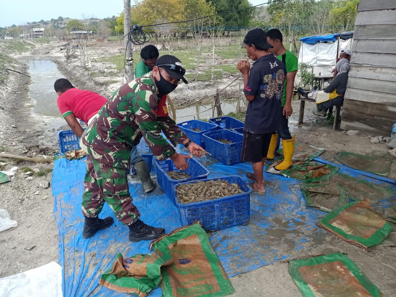 Babinsa Kopda Muhammad Toha Beri Motivasi Kepada Penambak Udang