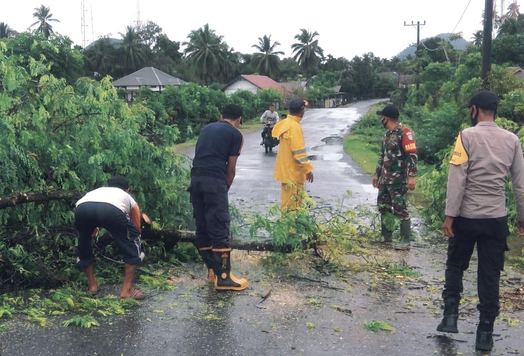Babinsa dan Babinkamtibmas di Bantu BNPB Lhoong Serta Warga Bersihkan Pohon Tumbang