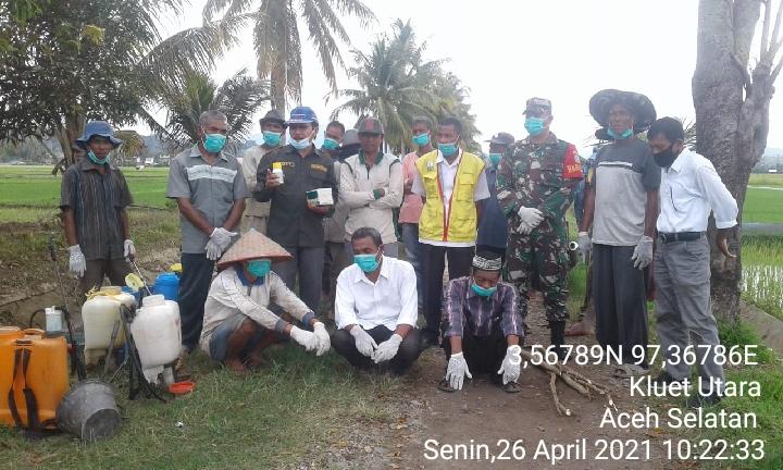 Babinsa Kluet Utara Ikut Bersama PPL dan Dinas Terkait Basmi Hama Tikus di Persawahan Desa Simpang Lhee