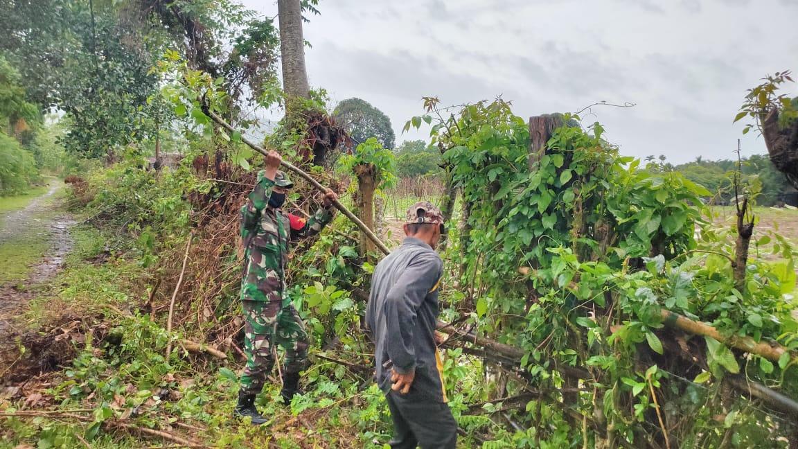 Babinsa Lamno Bantu Petani Perbaiki Pagar Kebun Yang Dirusak Hama Babi