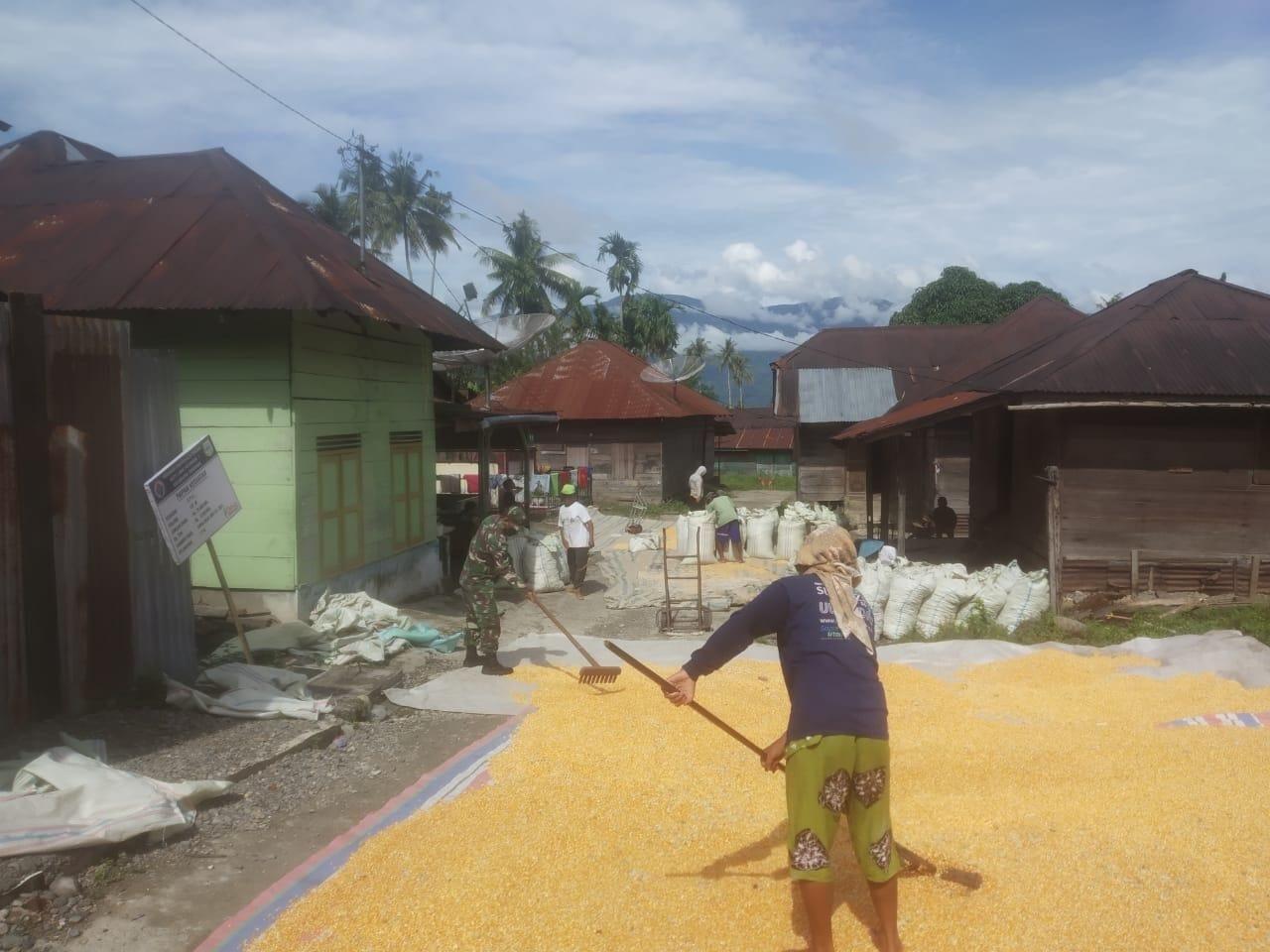 Babinsa Dampingi Petani Wujudkan Program Swasembada Pangan