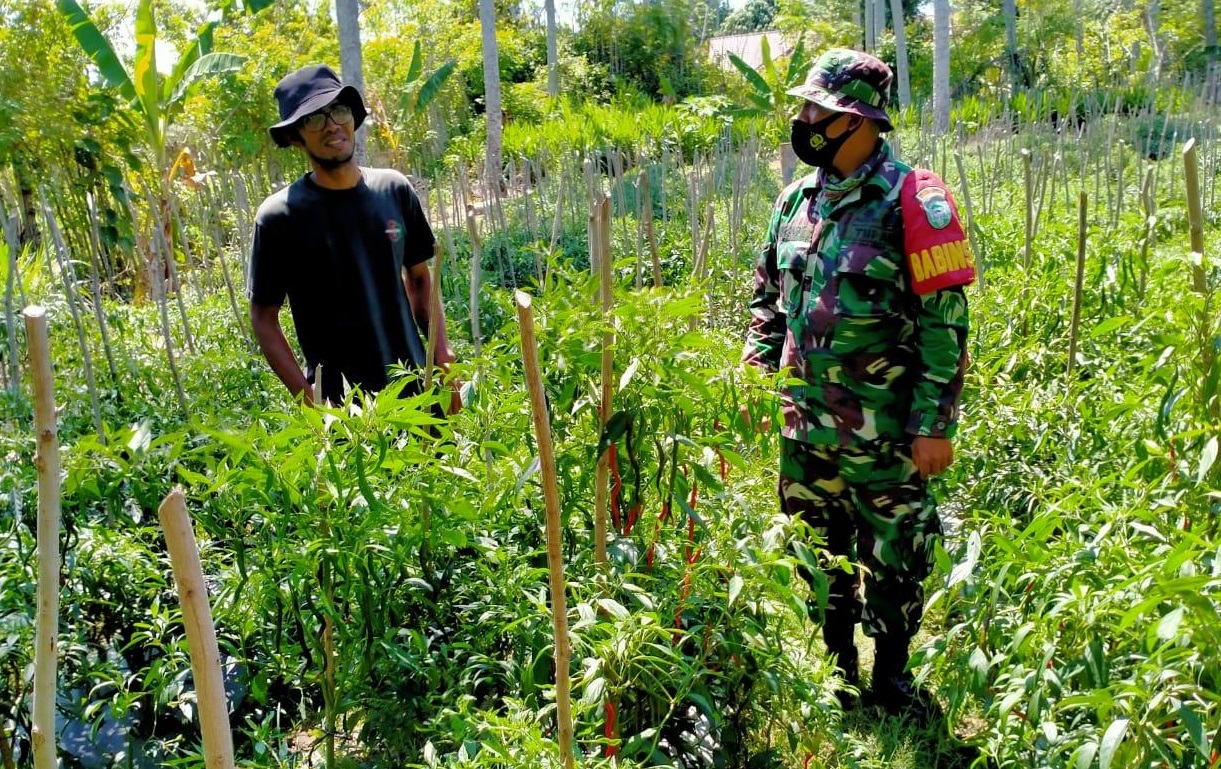 Tetap Patuhi Prokes, Koramil 03/Lhoknga Gelar Penyuluhuhan Pertanian