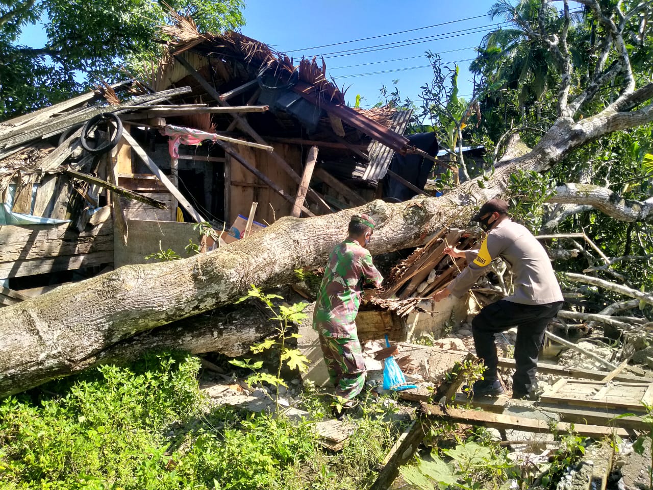 Peduli Sesama, Babinsa Bantu Rumah Warga Yang Tertimpa Pohon Tumbang