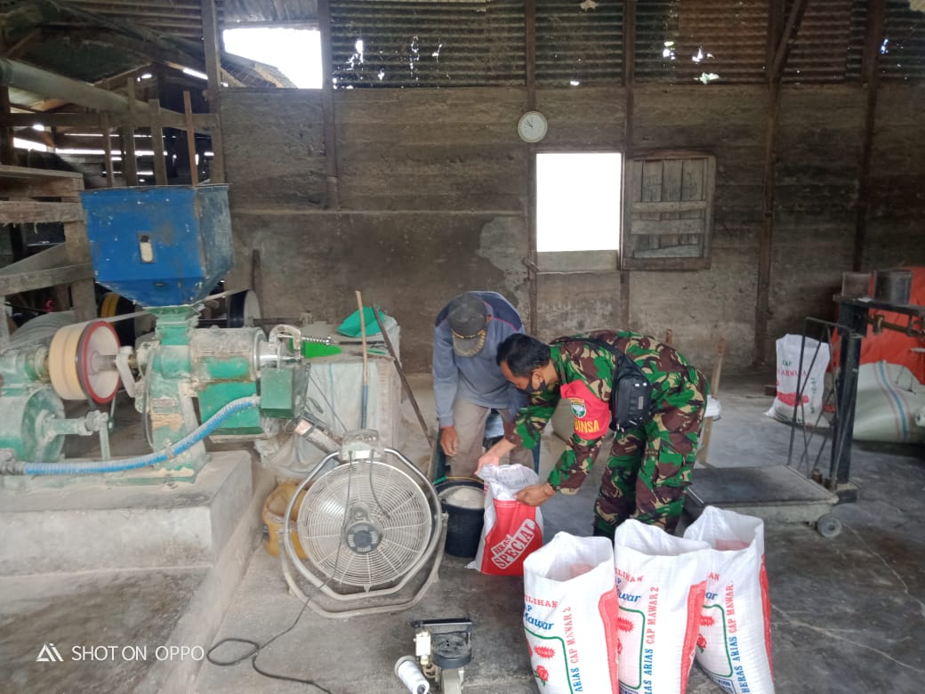 Babinsa Komsos Kepenggilingan Padi Warga