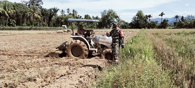 Pantau Kesiapan Masa Tanam, Babinsa Support Petani