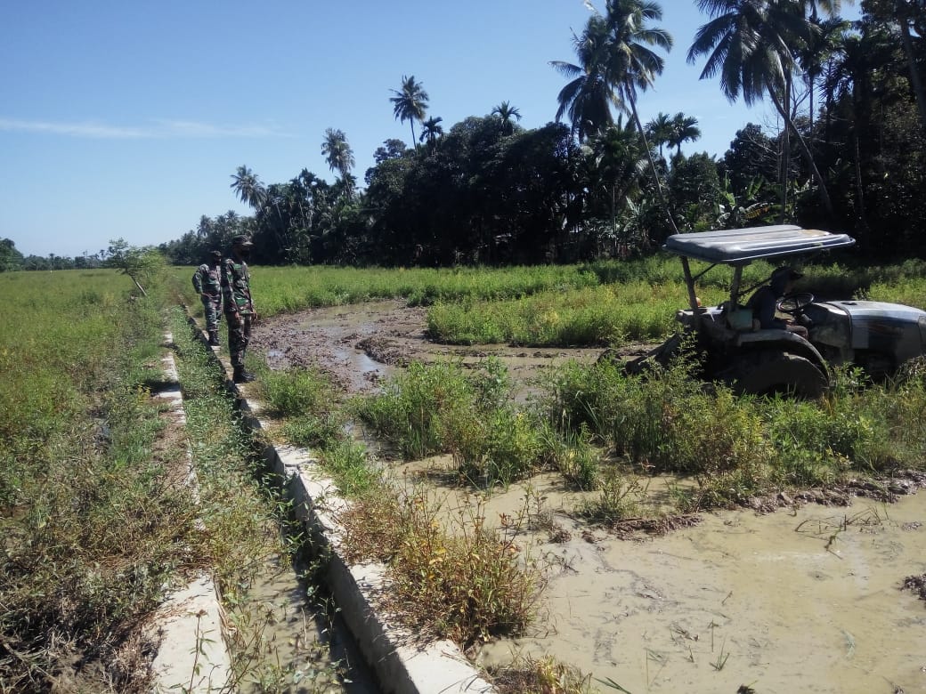 Sonsosng Percepatan Masa Tanam, Personil Babinsa Turun Pantau Kelapangan