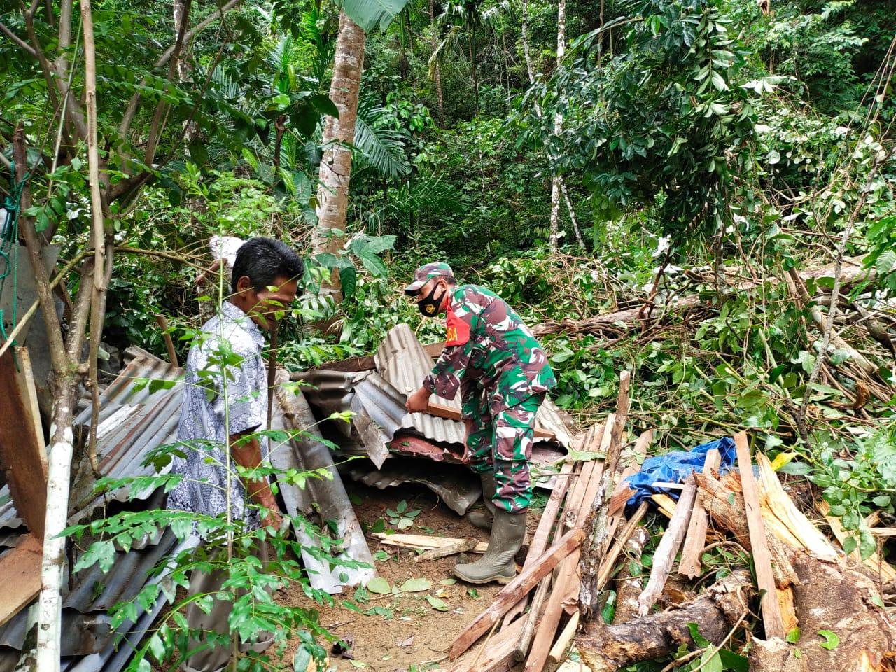 Babinsa Bersama Warga Evakuasi Pohon Tumbang yang Menimpa Rumah