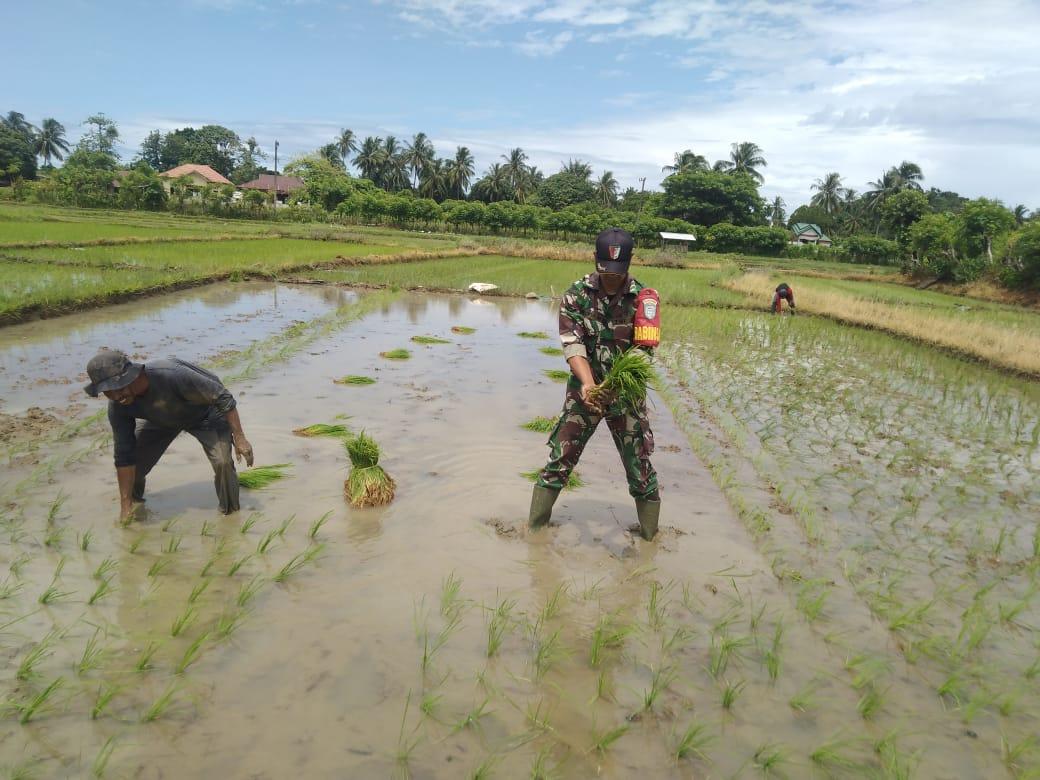 JAGA KETAHANAN PANGAN DIWILAYAH KORAMIL LHOONG, BEGINI ANGGAPAN PASITER KODIM 0101/BS
