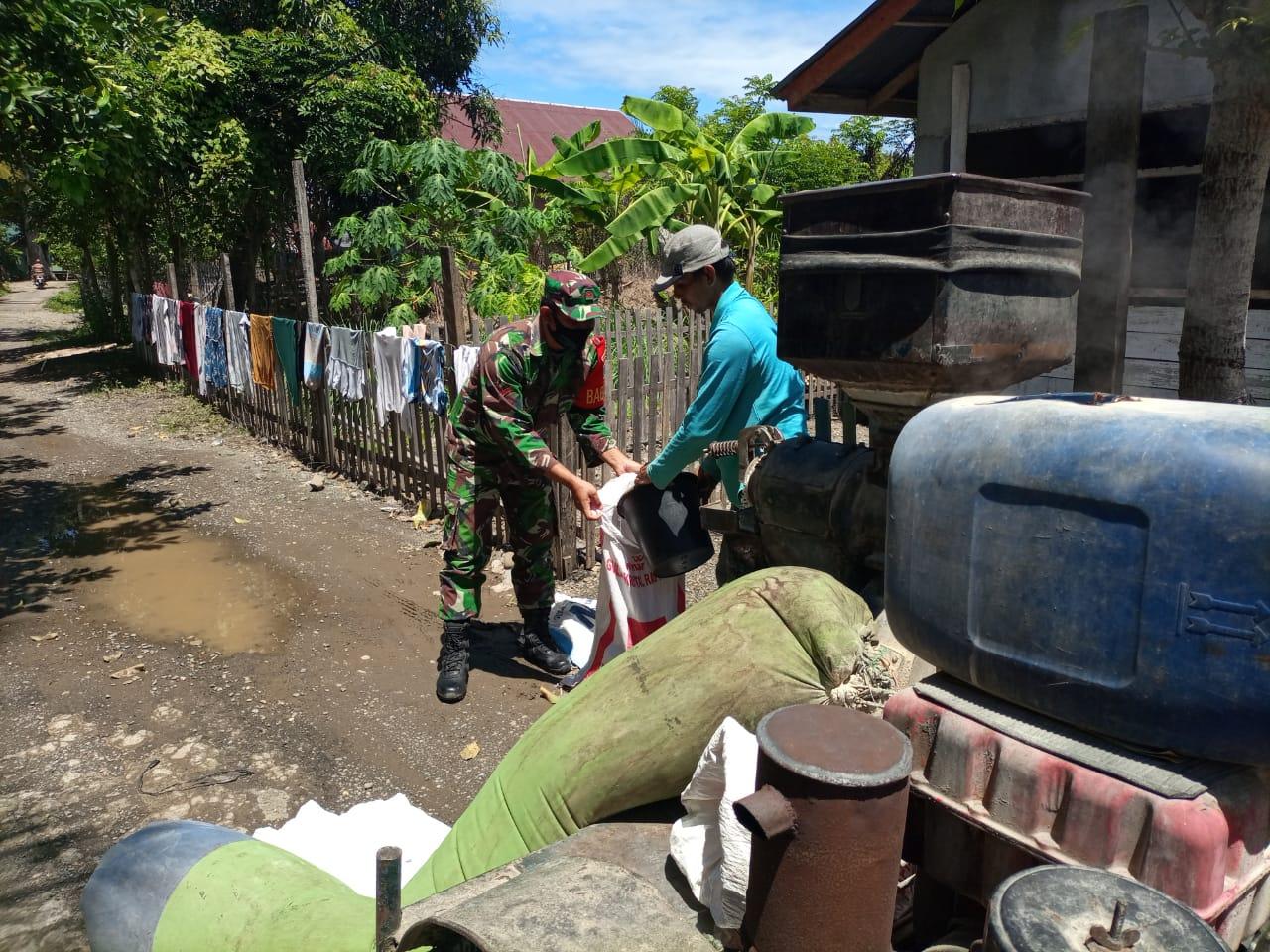 Babinsa Lamno Bantu Warga Desa Binaan Giling Padi