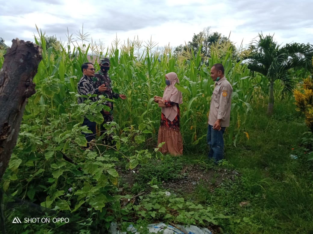 Sokong Ekonomi warga, Babinsa Aktif Dengan PPL