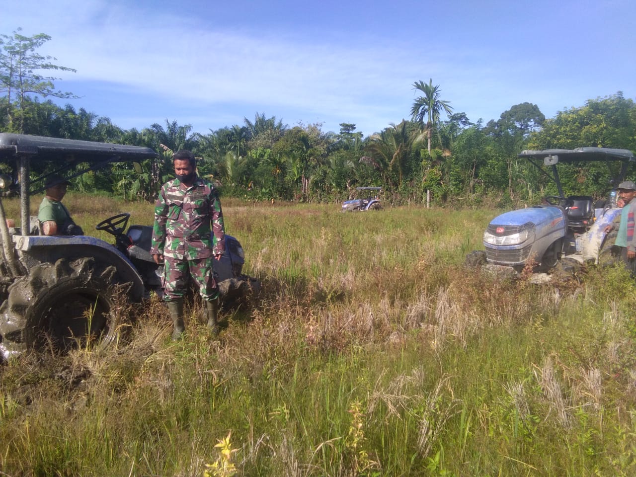 Dalami Kendala Petani Dilapangan, Babinsa Lakukan pengawasan Dan Pendampingan