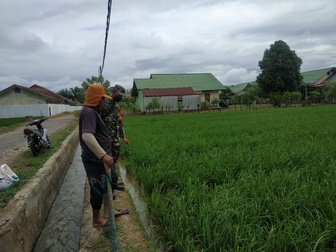 Wujudkan Hanpangan di Desa Binaan, Babinsa Luangkan Waktu Buat Petani di Sawah