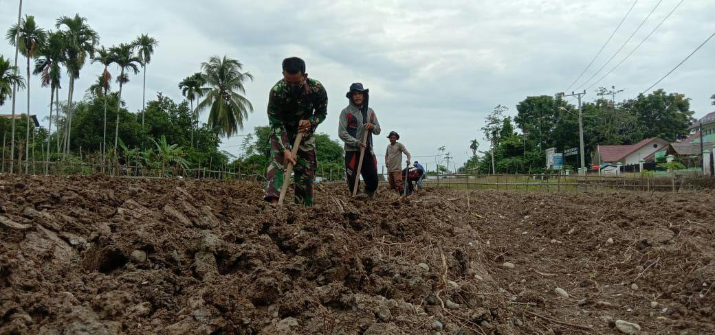 Berada Di tengah Tengah Masyarakat TNI Bantu Petani Siapkan Lahan Pertanian