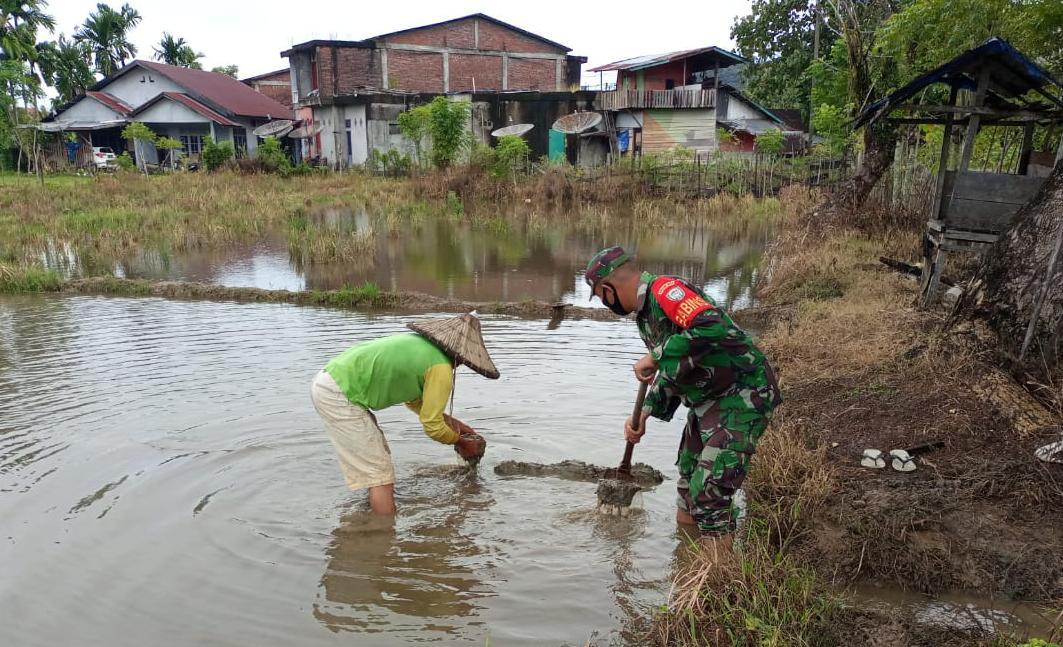 Sawah Terendam Air Babinsa Lamno Sigap Bantu Petani Desa Binaan