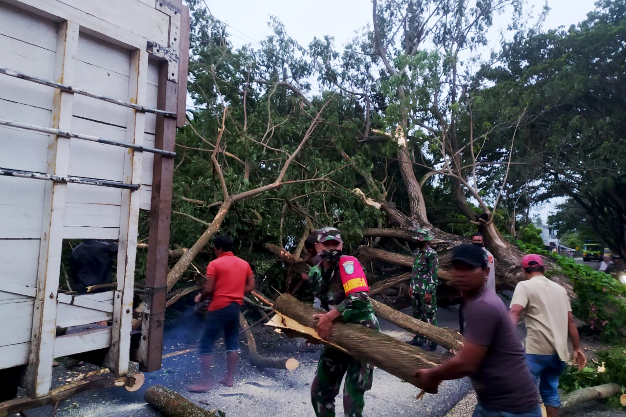 Personil TNI Polri dan Damkar Aceh Besar Sigap Bersihkan Batang Pohon Tumbang Menutupi Badan Jalan
