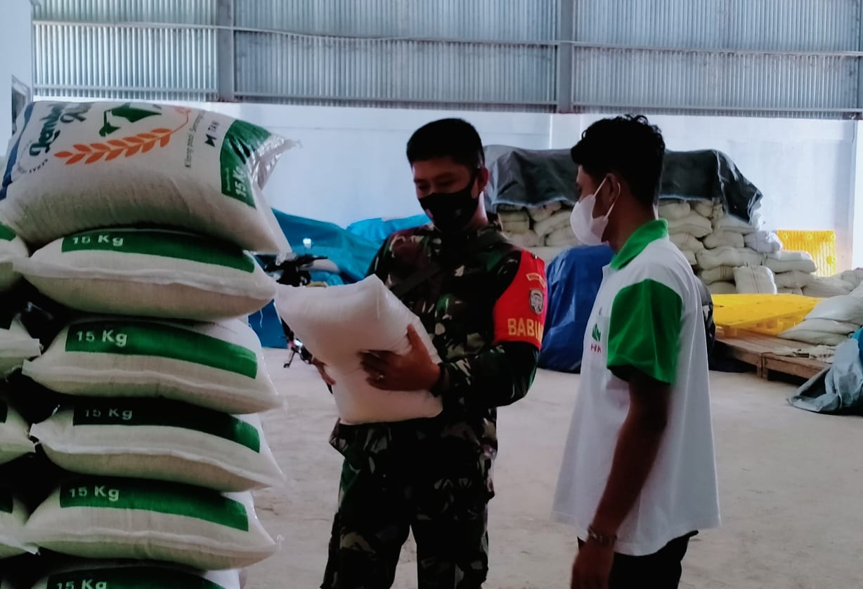 Pasca Panen Babinsa Sambangi Kilang Padi Di Desa Binaan