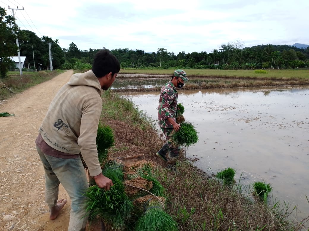 Petani Ucapkan Terimakasih Kepada Babinsa Setia Bakti
