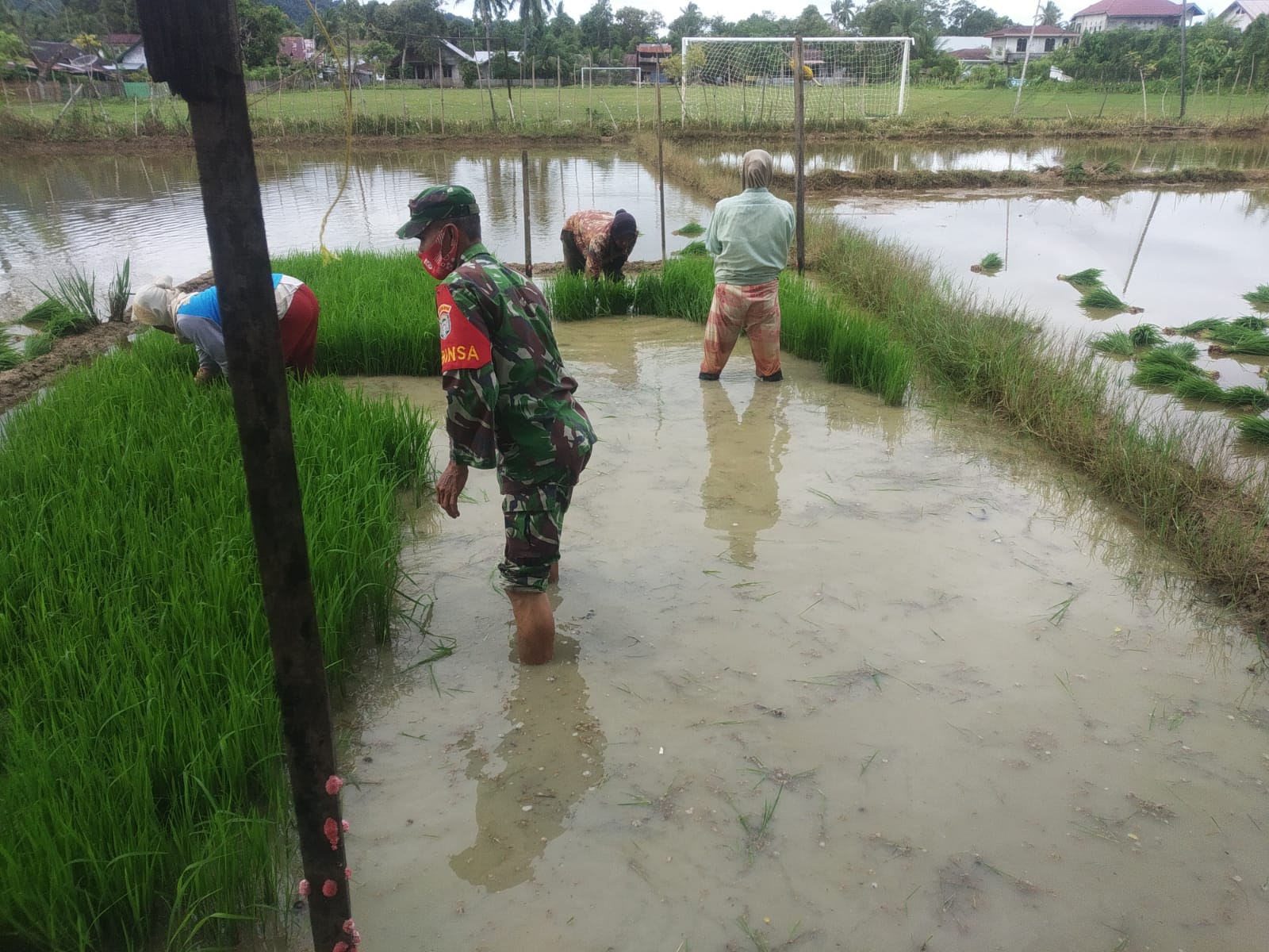 Sertu Saifullah Bantu Kelompok Tani Warga Binaan Menyiapkan Bibit Padi Menjelang Musim Tanam