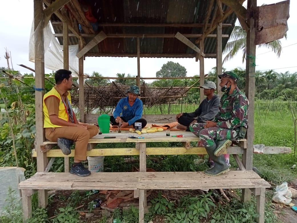 DI GUBUK SAWAH BABINSA POSRAMIL TADU RAYA LAKSANAKAN KOMSOS BERSAMA TOKOH MASYARAKAT DESA BINAAN