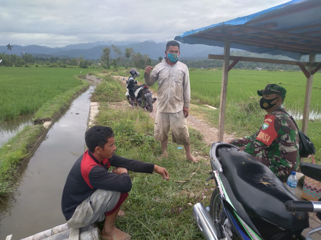 Topang Perekonomian Warga Masyarakat, Babinsa Ambil Andil Dalam Pendampingan