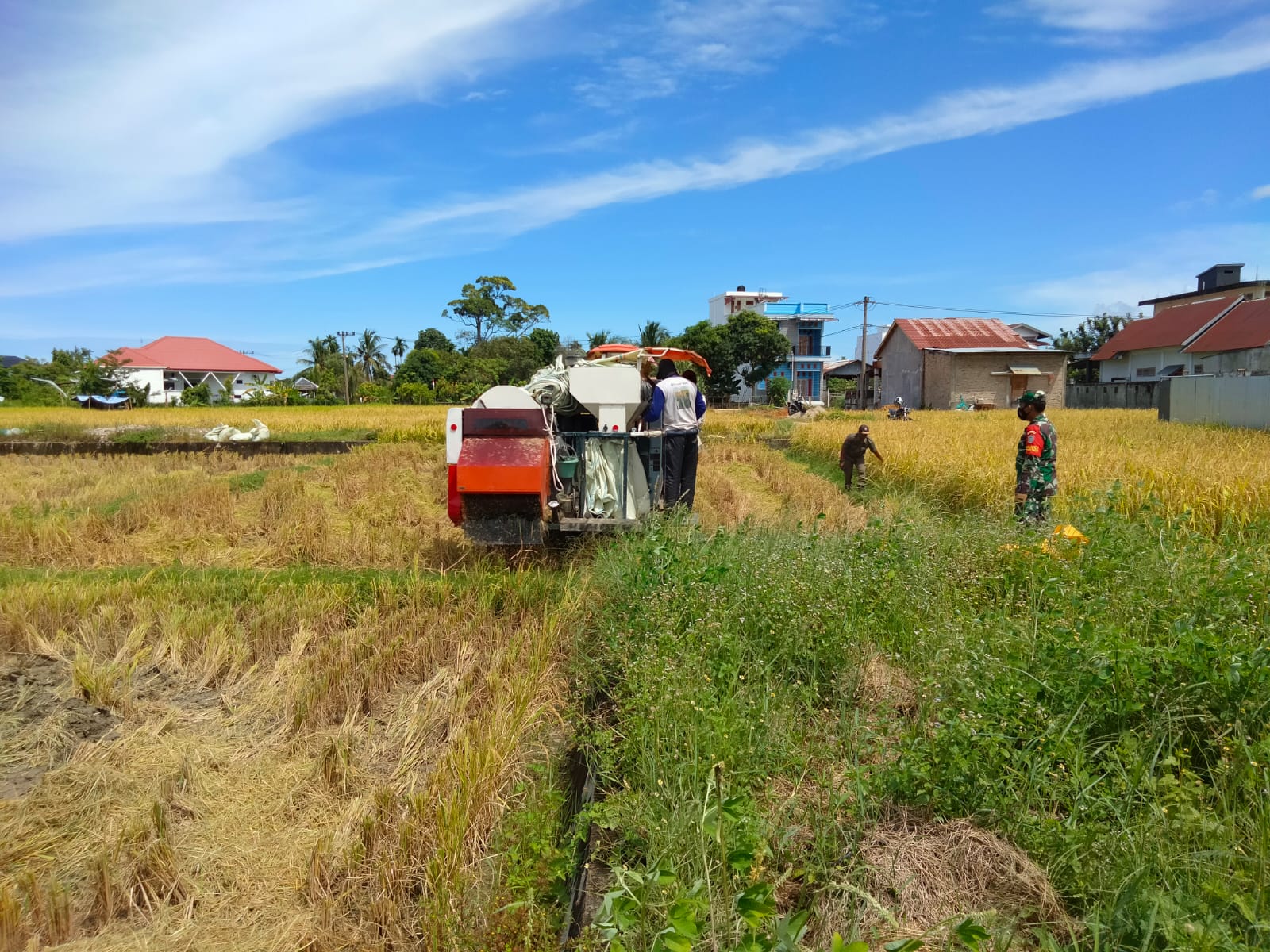 Tingkatkan Perekonomian Warga Dibidang Pertanian, Babinsa Terus Lakukan Pendampingan