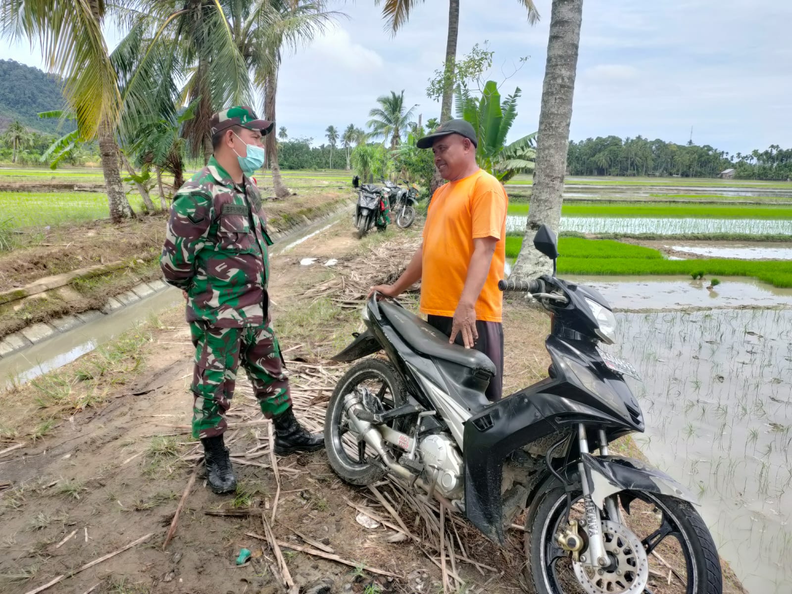 Bekerjasama Tingkatkan Hanpangan, Babinsa Koramil 06/KU Komsos dengan Petani
