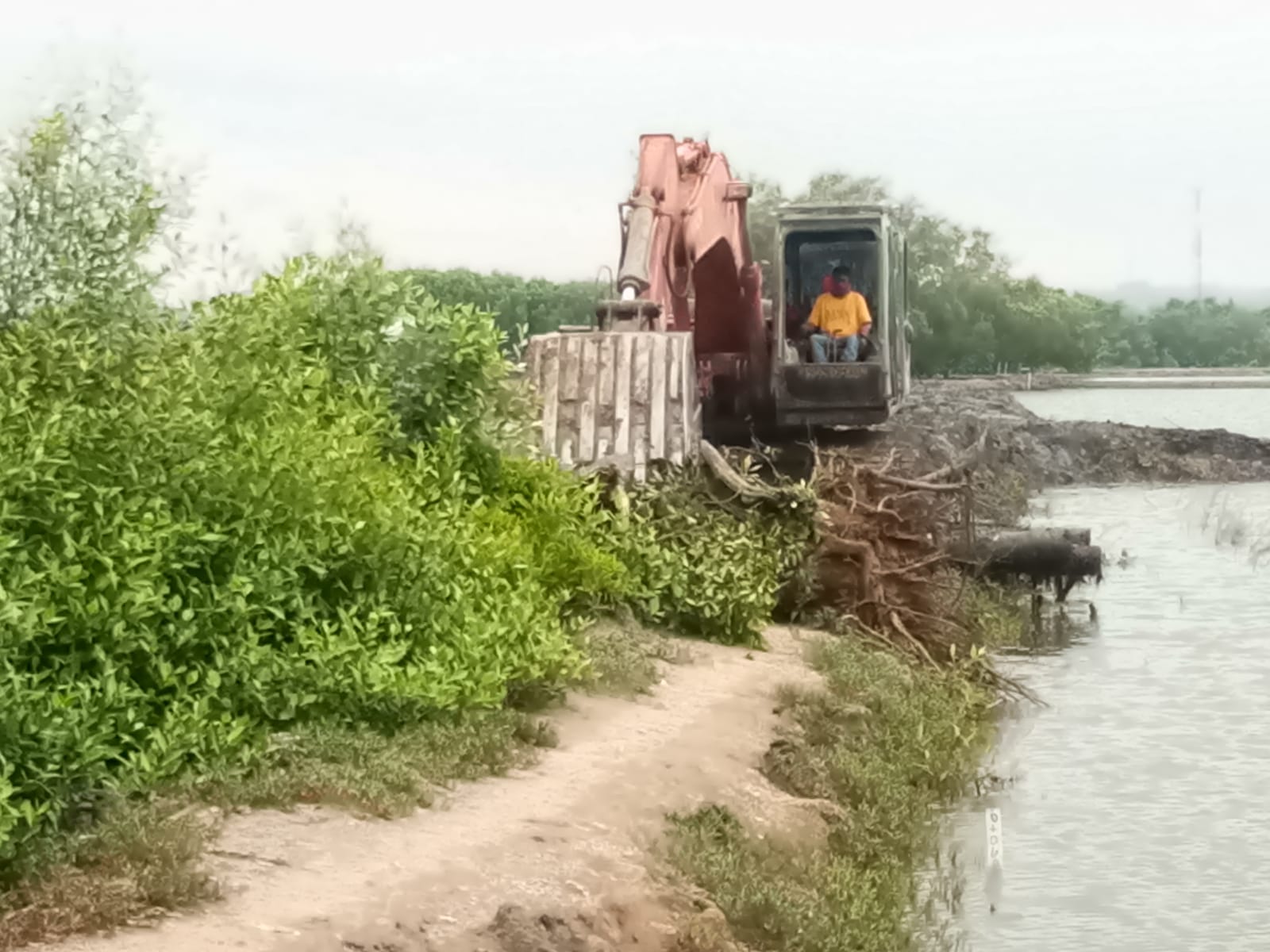 Alat Berat Pembuatan Normalisasi Saluran Tambak Sasaran Fisik TMMD ke-112 Sudah mencapai 55 Persen.