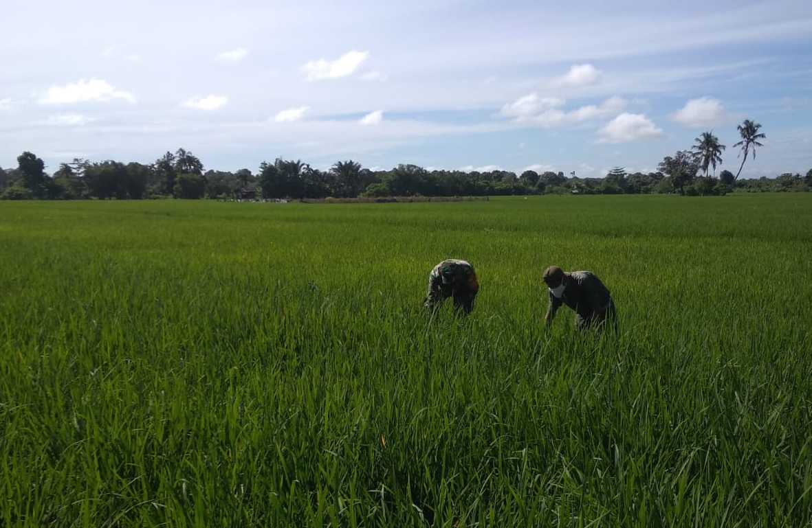 Ciptakan Keakraban, Babinsa Laksanakan Komsos dengan Masyarakat