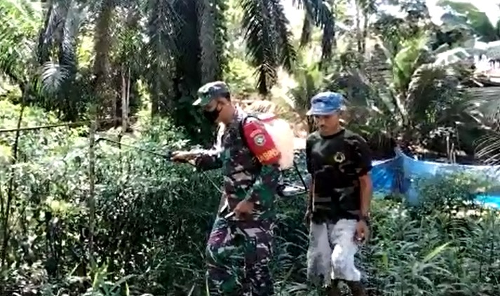 Dukung Ketahanan Pangan, Babinsa 14/Rtp Dampingi Penyemprotan Hama Cabe di Aceh Timur