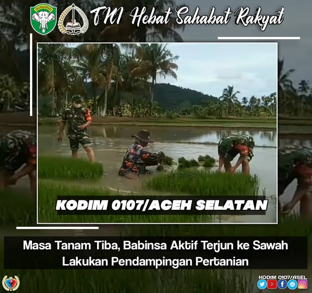 Masa Tanam Tiba, Babinsa Aktif Terjun ke Sawah Lakukan Pendampingan Pertanian
