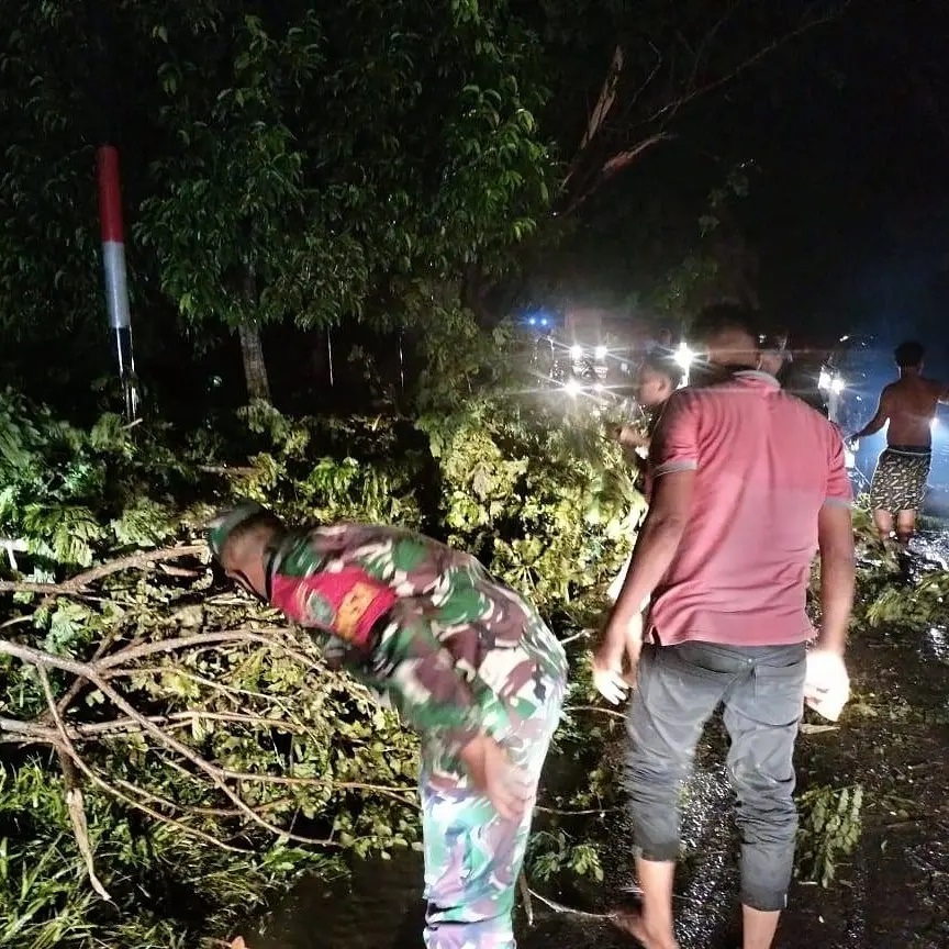 Babinsa Dan BPBD Aceh Tamiang Bersama Warga Bersihkan Pohon Tumbang