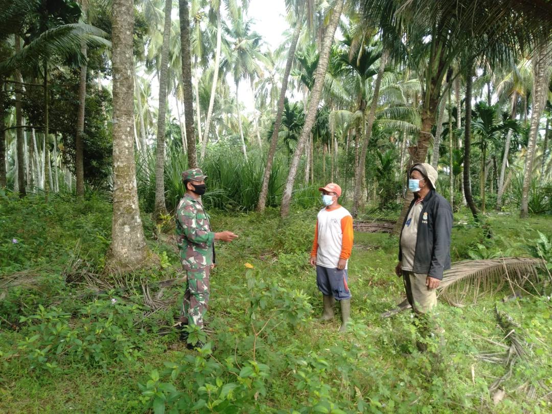 Turun ke Lapangan Babinsa Teunom Ingatkan Petani Kebun Tentang Bahaya Karhutla