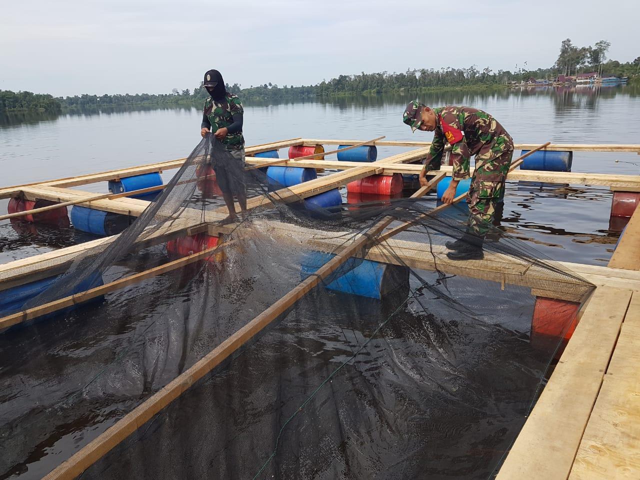 Danau Laot Tadu Disulap Warga Kembangkan Keramba Budidaya Ikan Air Tawar