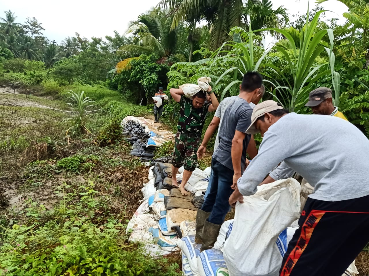 Antisipasi Bahaya Banjir, Babinsa dan Masyarakat Gotong Royong Bangun Tanggul