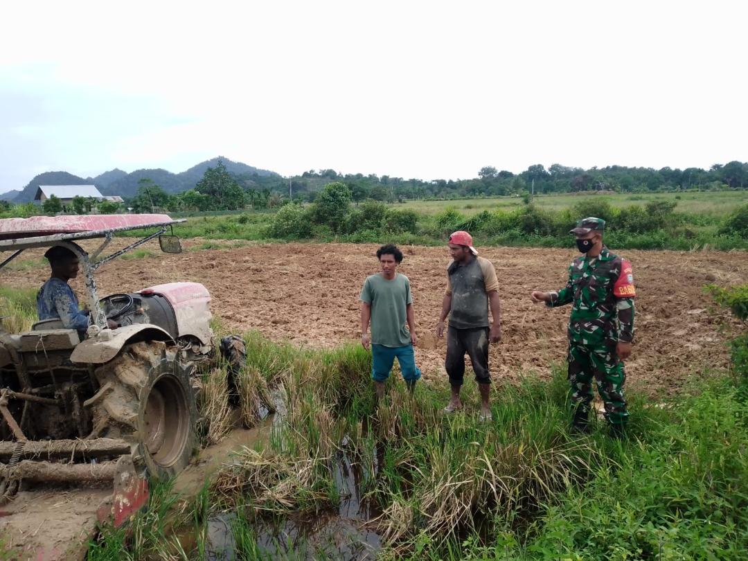 Bersama Kelompok Tani, Sertu Parwoto Lakukan Pendampingan Pengolahan Lahan Sawah